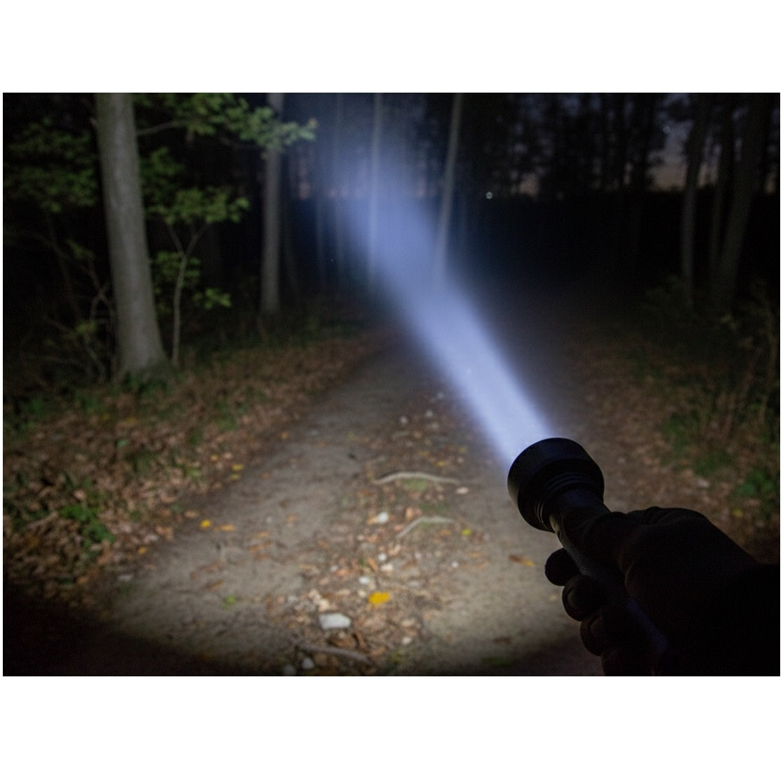Hamble Distribution Ltd 41 LED Aluminium Torch Silver RT390