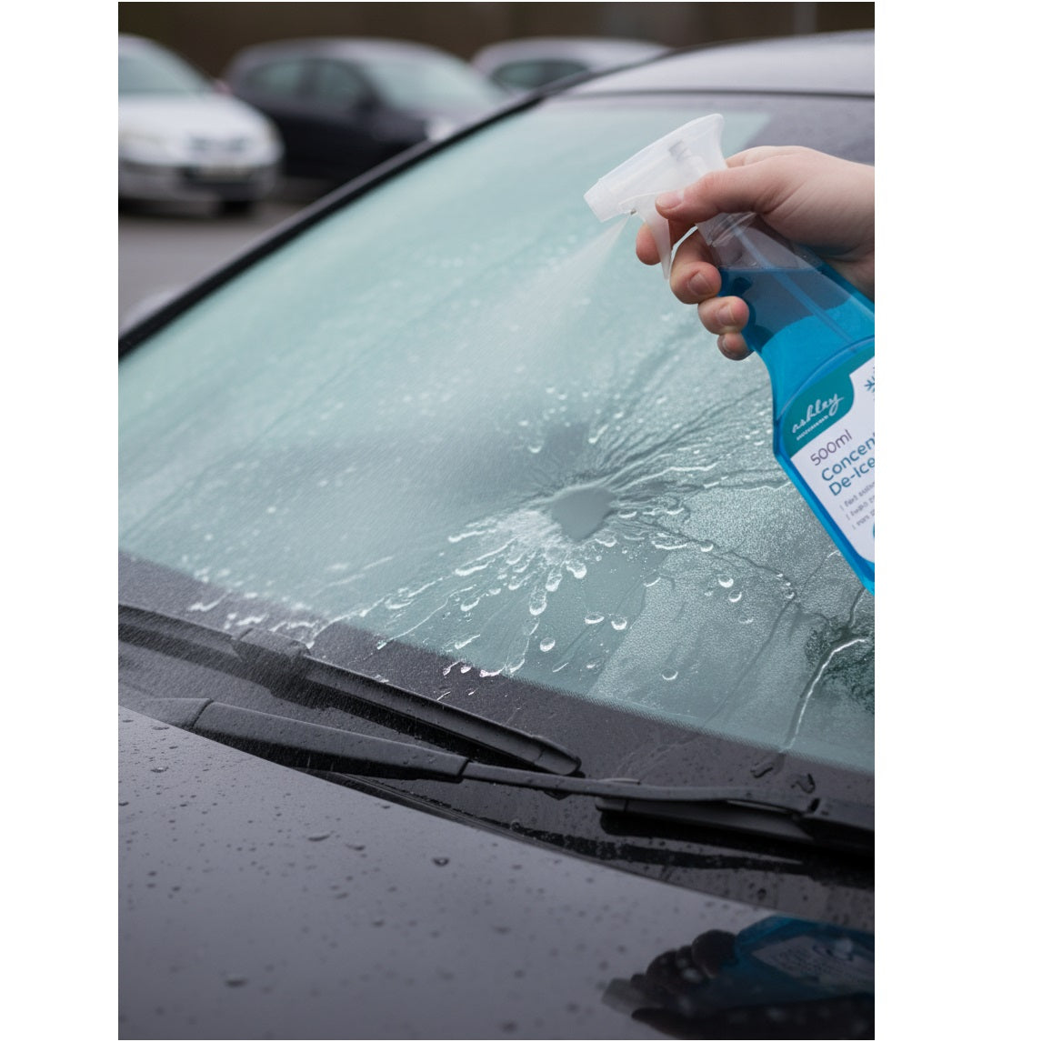 Ashely Housewares Concentrated De-Icer Blue 500ml DI100 | Fast Acting - Clears Frost Quickly | Helps Prevent Refreezing | Non Smearing Formulation | Effective Down to -15 Degree Celsius