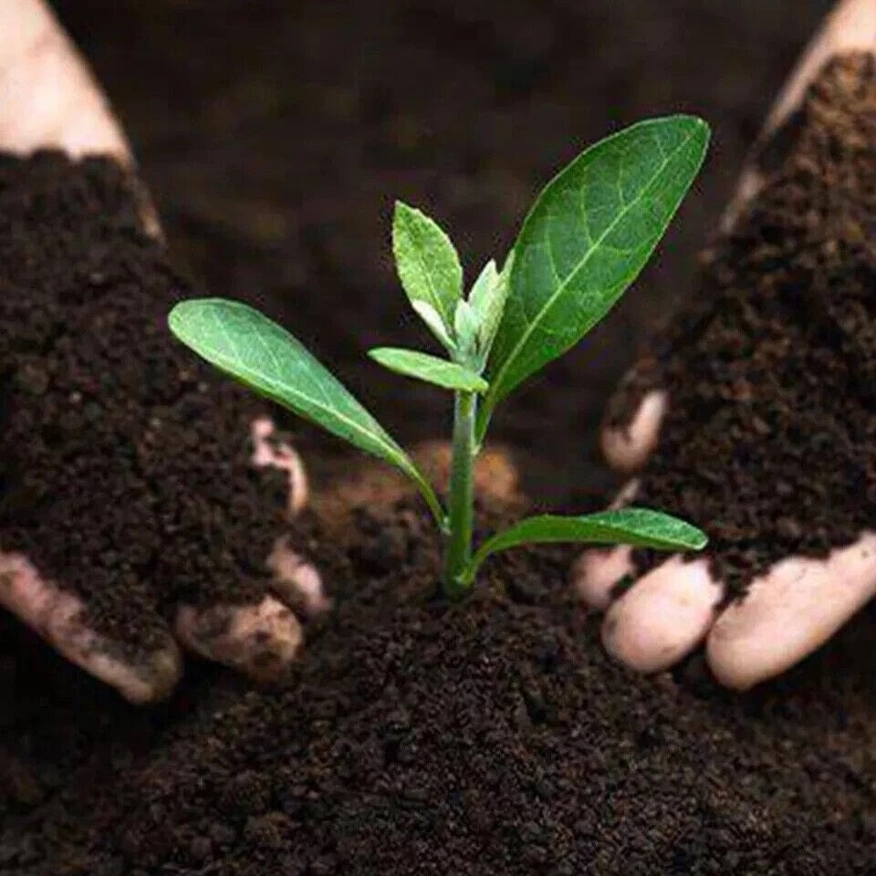 Growmoor Multi Purpose Compost 40Ltr BGMPC40LTR | Ideal for Use Throughout the Garden | Helps Create more Colourful Flowers and Greener Leaves | Slow Release Feed and Moisture Retention for Healthier Plants | Adds Vital Nutrients to Create Healthier