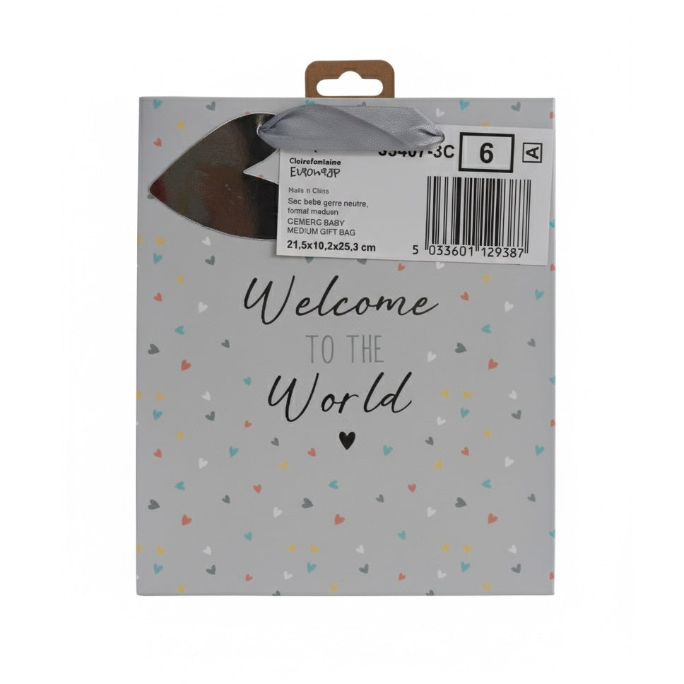 Eurowrap Generic Baby Gift Bag Grey Medium 21.5cm x 10.2cm x 25.3cm Pack of 6 35407-3C