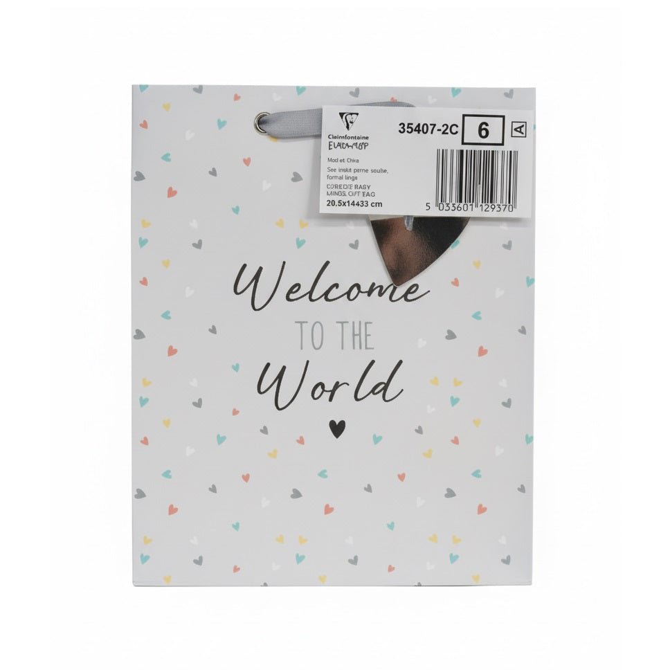 Eurowrap Generic Baby Gift Bag Grey Large 26.5cm x 14cm x 33cm Pack of 6 35407-2C