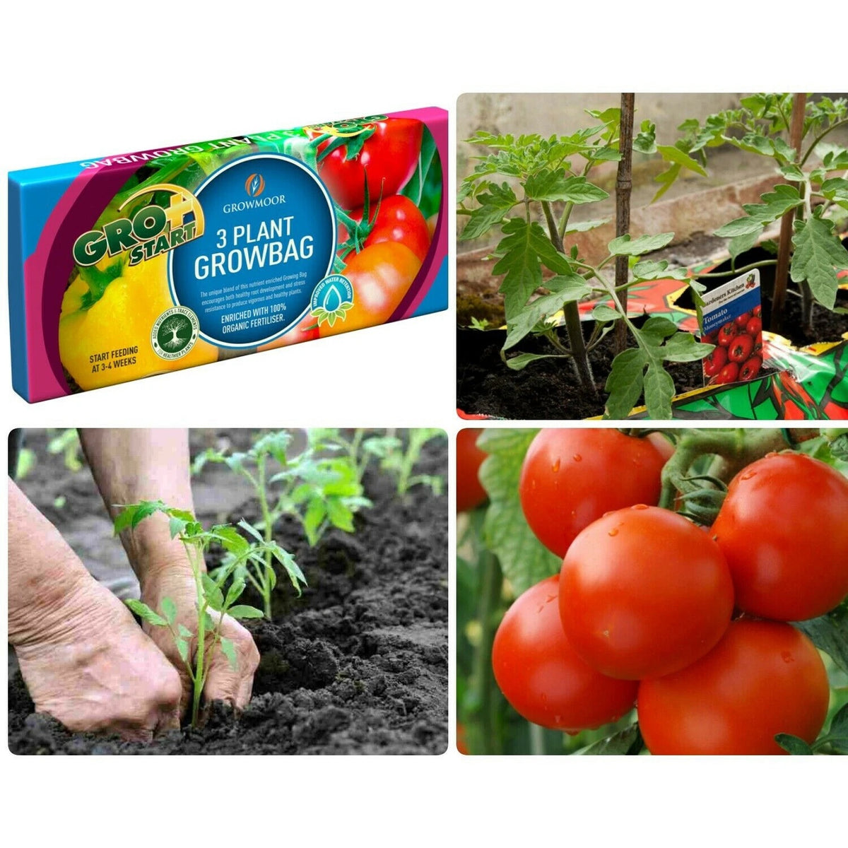 Growmoor 3 Plant Growbag Multicoloured 24Ltr GRO3BG | Gro Start Nutrient Enriched Compost | 100 Percent Organic Fertiliser | Ideal for Vegetables-Tomatoes and Herbs | Added Nutrients for Healthy Plants