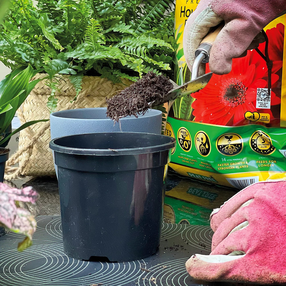 Miracle-Gro Peat Free Premium Houseplant Potting Mix Multicoloured 10Ltr | 14 Vital Nutrients | Locks in Moisture | Promotes Root Growth | Child and Pet Friendly | 3 Months Feed | Use in Pots-Container and Hanging Baskets