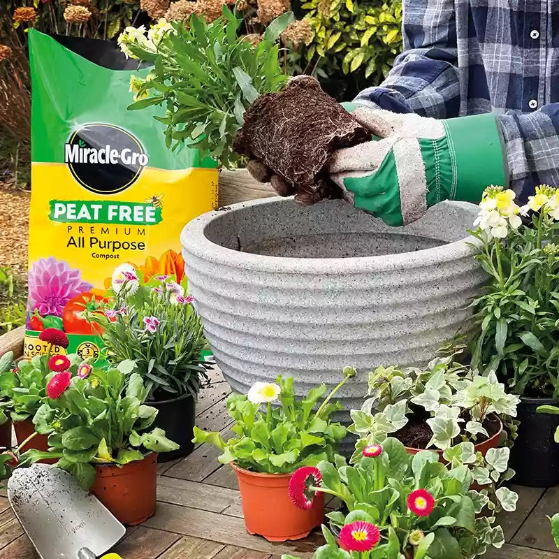 Miracle-Gro Peat Free Premium All Purpose Compost Dark Brown 20Ltr 119987 | 3 Months Feed | Contains 14 Vital Nutrients | Locks in Moisture | Promotes Root Growth | Child and Pet Friendly | Scientifically Proven at Evergreen Research Station