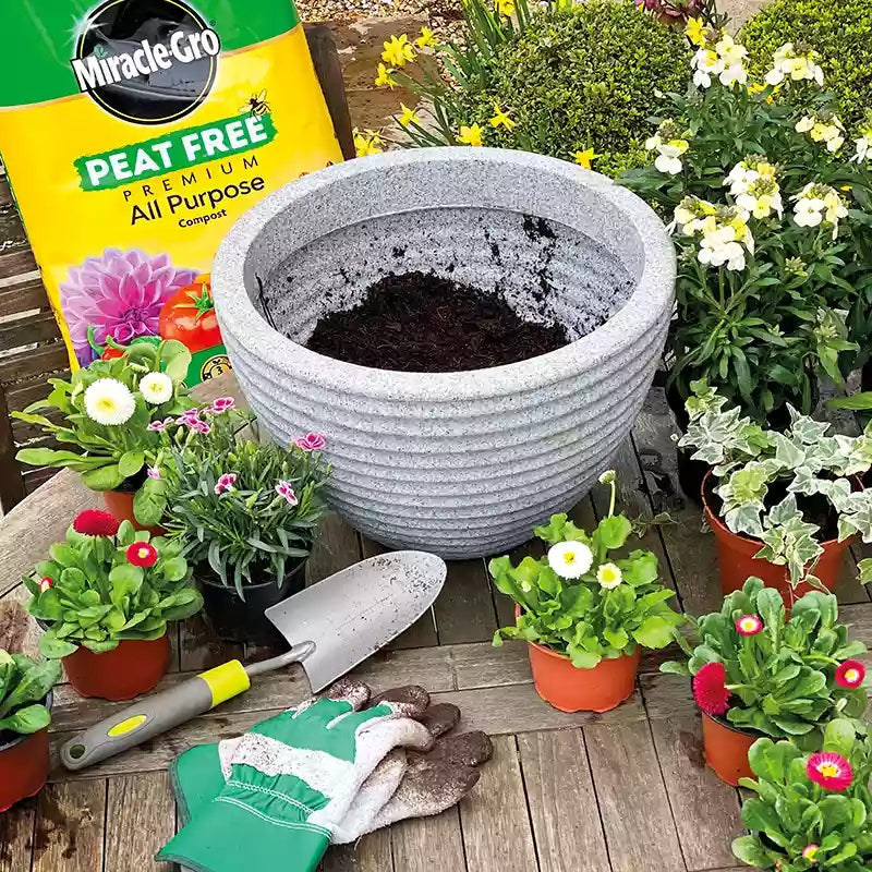 Miracle-Gro Peat Free Premium All Purpose Compost Dark Brown 20Ltr 119987 | 3 Months Feed | Contains 14 Vital Nutrients | Locks in Moisture | Promotes Root Growth | Child and Pet Friendly | Scientifically Proven at Evergreen Research Station