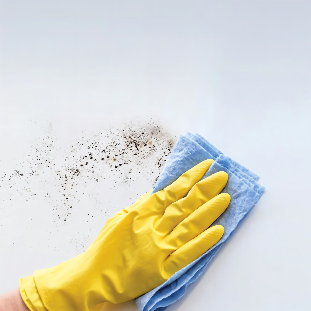 Ronseal 3-in-1 Mould Killer Trigger Spray 500ml 36962 | Cleans off Mould Easily | Kills and Protects against Mould | Can be Applied Directly to Paint | For Interior Walls and Ceilings Where Mould is Present