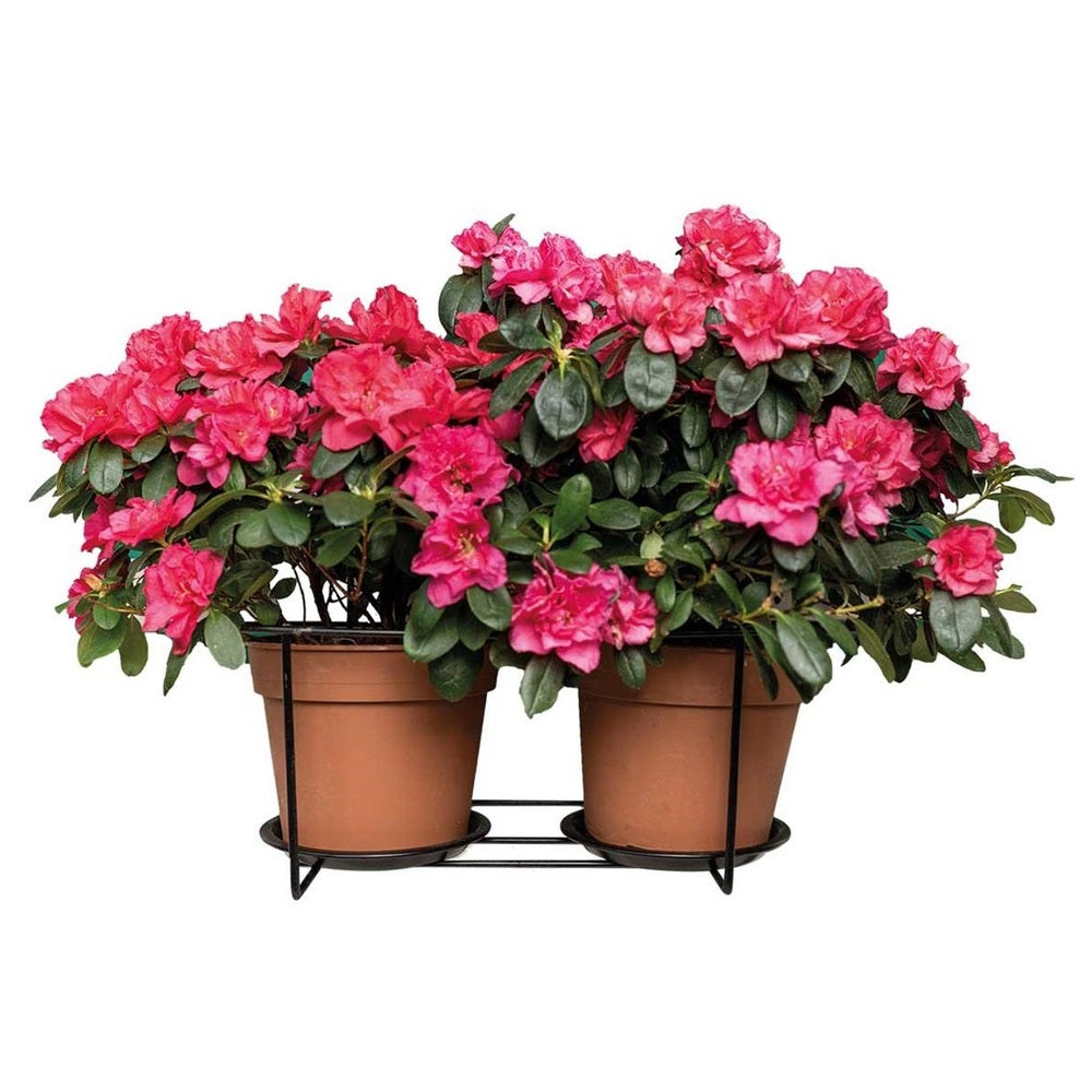 Pro Garden Metal Flower Pot Holder Black CY5910270