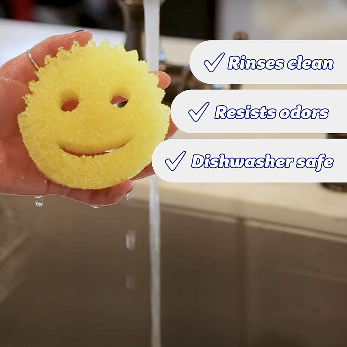 Bettina Multipurpose Dual Sided Wonder Scrubbs Non Scratch Sponges with Holders Assorted Colours Pack of 3 B523 | With Suction Cup Design | Temperature Adapting Cleaning Pads | | One Side for Scrubbing | One Side for Wiping | Soft in Warm Water and Firm