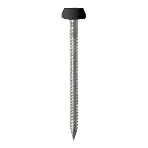 Timco Polymer Headed A4 Stainless Steel Pins Black 30mm Pack of 60 PP30BLP | UV Stable | Impact resistant | Used for Fixing Soffits-fascias-Roofline Trims | Shank - 2.1mm | Substrates - Corrosive Wood | Fixing Pins | Fixing Nails | Cladding Pins