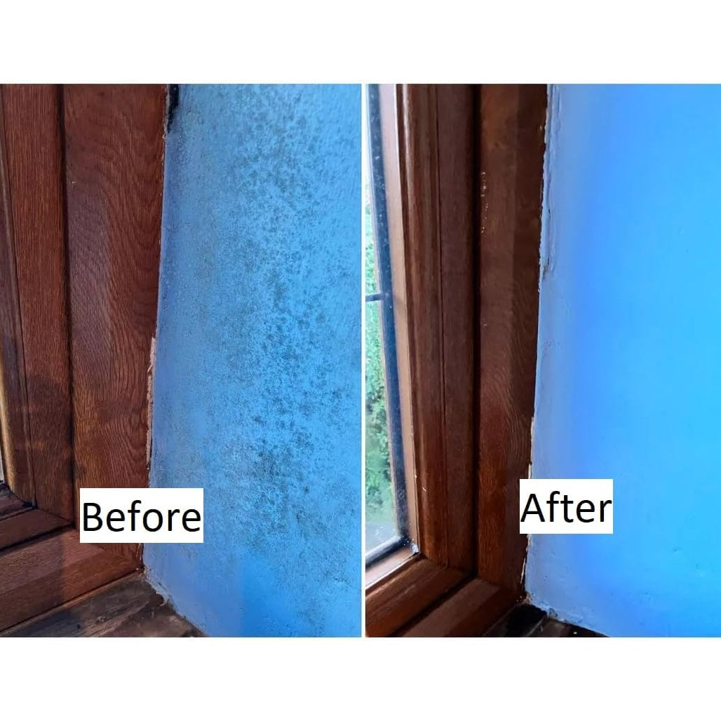 Astonish Mould and Mildew Blaster Spray Clear 750ml 9955S2 | Hygienically Cleans Surfaces | No Scrubbing Needed | Antibacterial Cleaner | Cleaning Solution | Damp Area Cleaner | Silicone Seal Cleaner | Bathroom Spray | Tile Cleaner | Grout Cleaner
