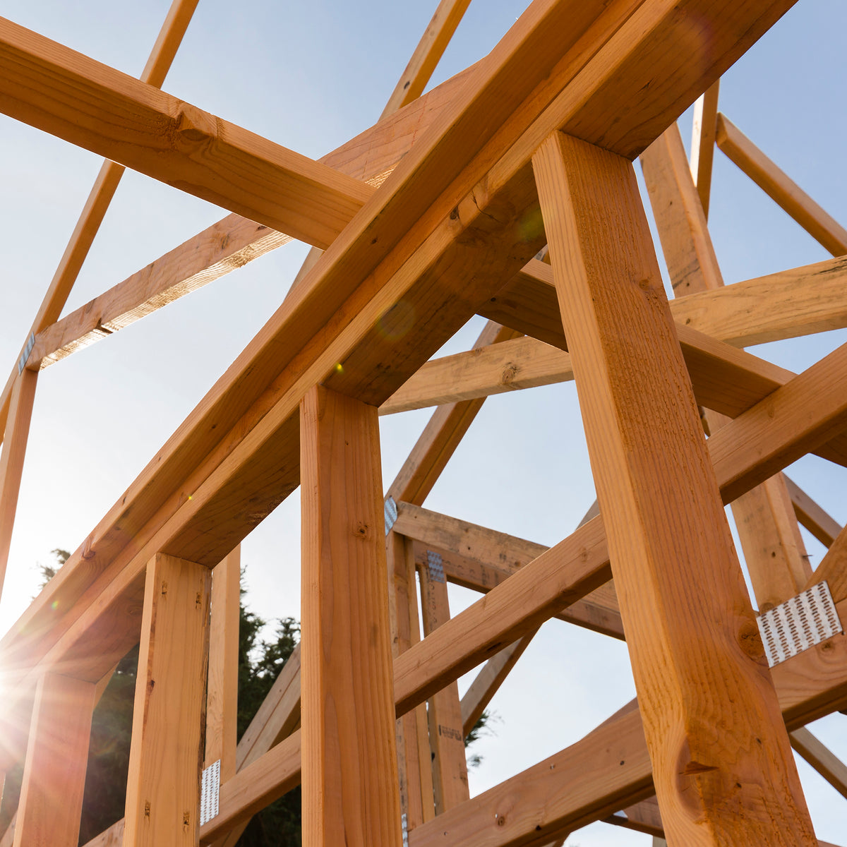 Cheshire Mouldings CLS Timber Studwork Natural 2.4Mtr x 38mm x 63mm TM1087 | PEFC Certified Softwood | Planed CLS Framing Timber | Structural Stud Timber Batten
