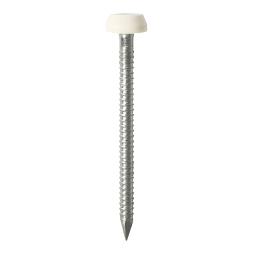 Timco Polymer Headed A4 Stainless Steel Nails White 30mm Pack of 60 PP30WP | UV Stable | Impact resistant | Used for Fixing Soffits-fascias-Roofline Trims | Shank - 2.1mm | Substrates - Corrosive Wood | Fixing Pins | Fixing Nails | Cladding Pins | Roofing Fixing Pins | Fastener Pins | Corrosion Resistant Pins | Hardwood Fixing Pins