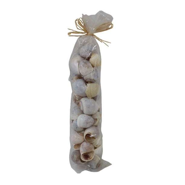 Decorative Natural Shells in Bag Assorted Pack of 1 D22100030 | 6 Assorted Sea Shells | For Home Decor | Vase Fillers | Table Decorations | Craft Projects and Coastal Displays | Shell Crafts