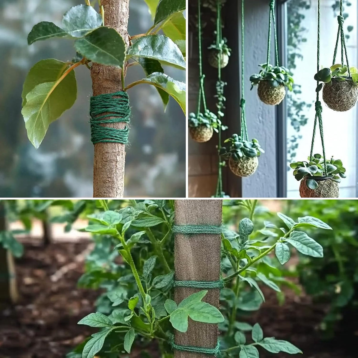 Green Blade Jute Garden Twine Green 100Mtr x 1mm TT086 | Strong Multipurpose Rope | For Gardening | DIY | Packaging and Outdoor Use | Jute Twine | Utility Rope | Plant Support Twine | Garden String | Gift Box Wrapping | Bundling | Environmentally