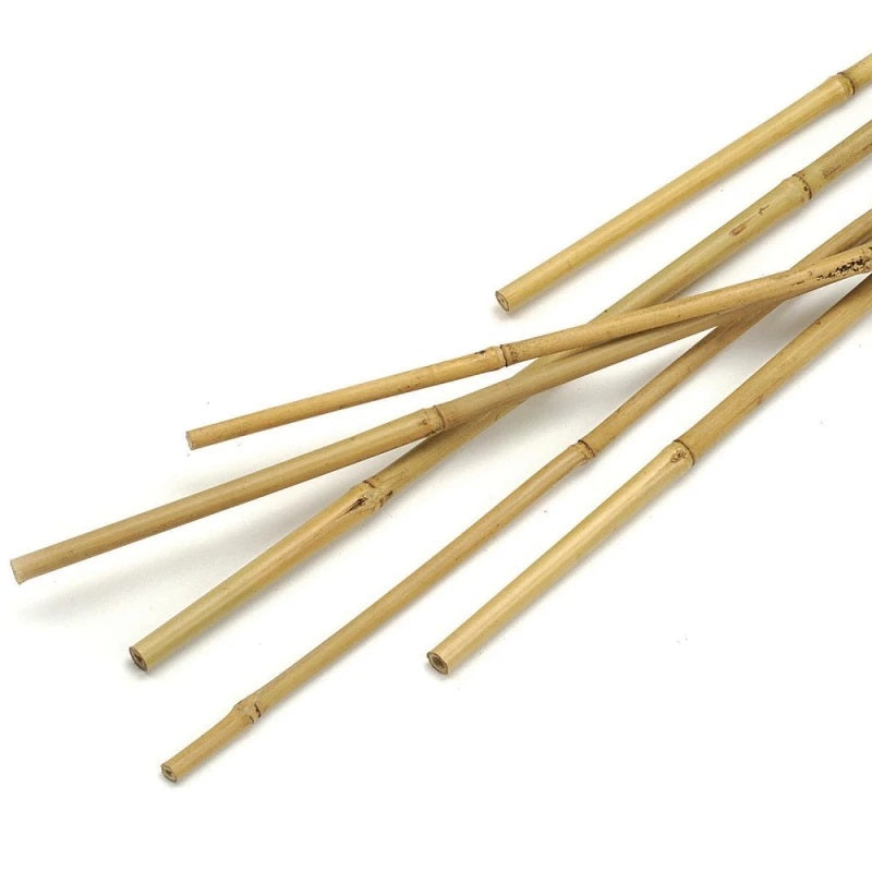 Green Blade Bamboo Plant Support Stakes Brown 90cm Pack of 10 PS211 | Durable | Lightweight and Sturdy Traditional Bamboo | Natural Bending and Movements Helps Growing Plants | Plant Support Sticks | Bamboo Garden Canes | Climbing Plant Support | Natural