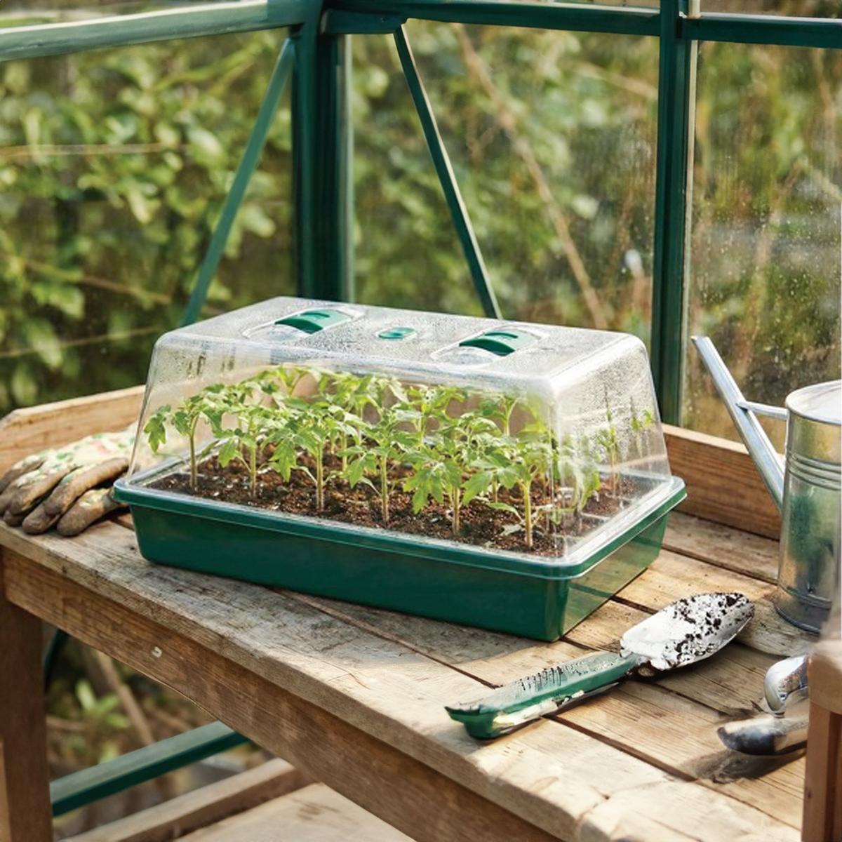 Dekton Mini Greenhouse Propogator Green 37.5cm x 24cm x 18cm DTG3050 | Reusable | Weatherproof | Clear Lid with 2 Adjustable Vents | 24-Cell Seed Tray | Sturdy Plastic Base Tray