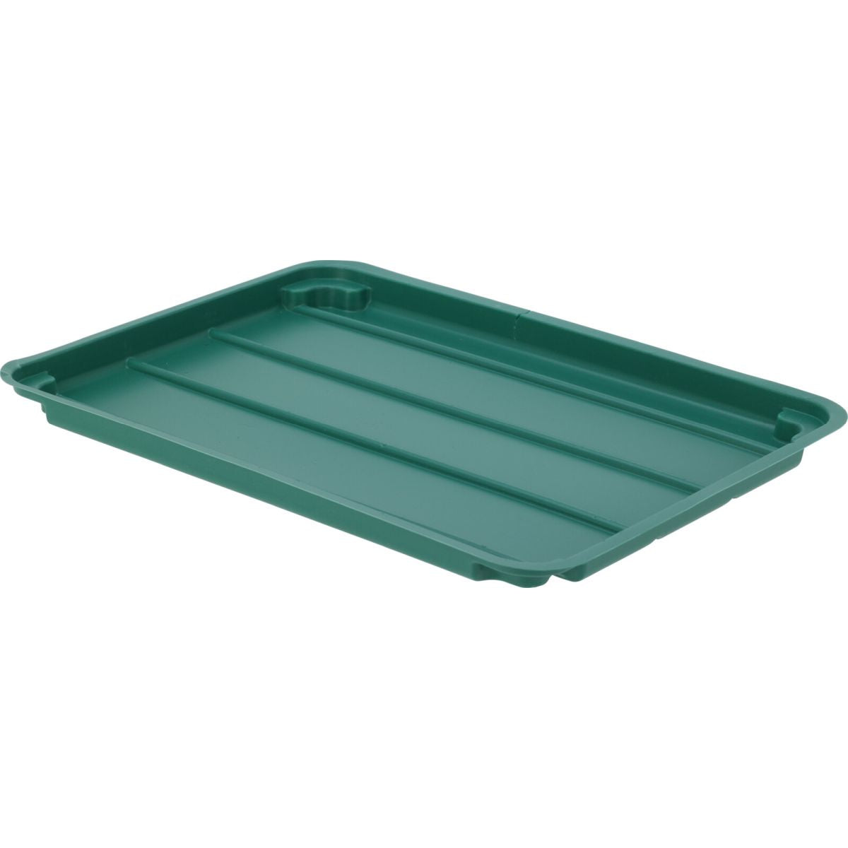 ProGarden 24 Pots Growing Set Green L27.4cm x W19.7cm x H7.3cm CY8002200 | Seedling Starter Tray with Clear Lid | Propagator Kit for Plants | Garden Seed Germination Tray