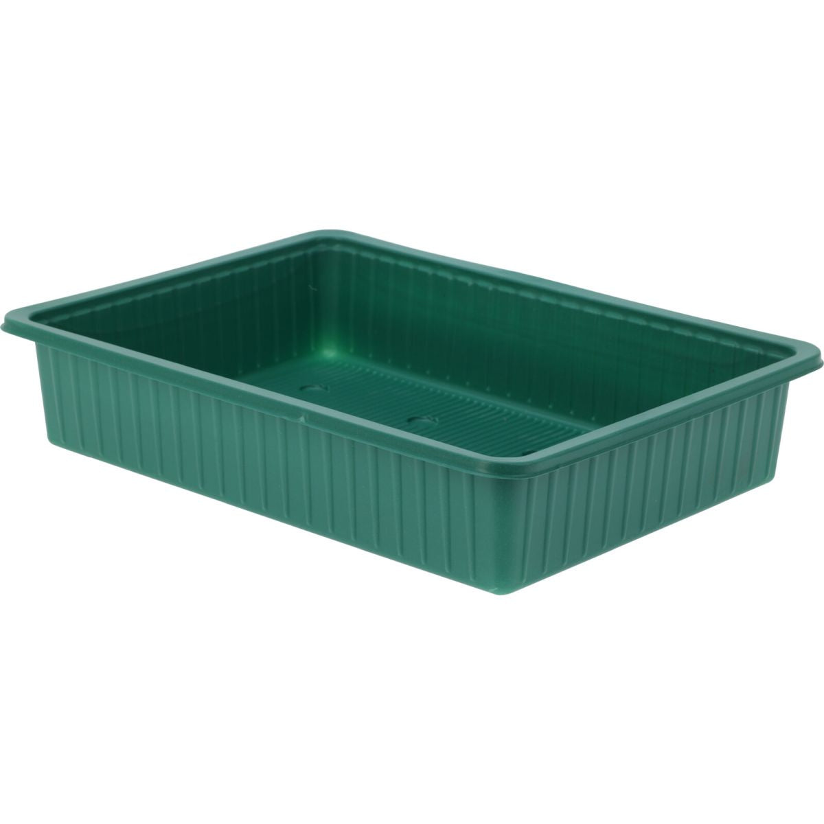 ProGarden 24 Pots Growing Set Green L27.4cm x W19.7cm x H7.3cm CY8002200 | Seedling Starter Tray with Clear Lid | Propagator Kit for Plants | Garden Seed Germination Tray