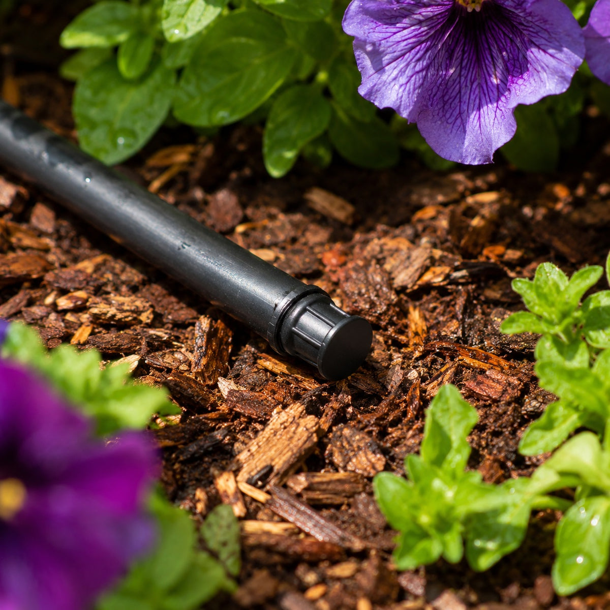 Hozelock End Plugs Black 13mm 70310012 | Supplied With Complete Fittings | Pack of 12 | Irrigation System Accessories | Drip System Accessories | Leak Prevention End Plugs