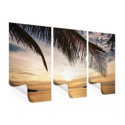 Command Value Pack Self Adhesive Damage-Free Interlocking Picture Hanging Strips White Small and Medium Set of 12-Pieces 17203