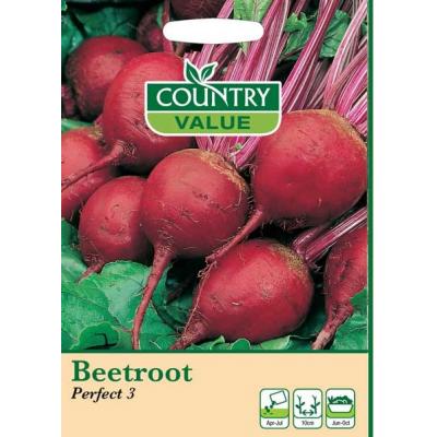 Fothergills Country Value Price Band A Beetroot Perfect 3 Vegetable Seeds Deep Red Pack of 200-Seeds 13501