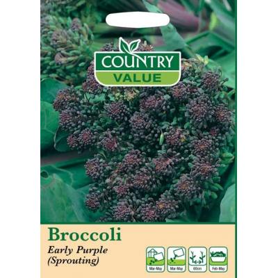 Fothergills Country Value Price Band A Broccoli Vegetable Seeds Early Purple Pack of 400-Seeds 13502