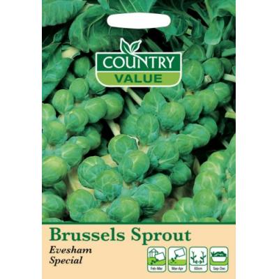 Fothergills Country Value Price Band A Evesham Special Brussels Sprout Vegetable Seeds Green Pack of 300-Seeds 13503