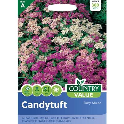 Fothergills Country Value Price Band A Fairy Mixed Candytuft Flower Seeds Multicolour Pack of 300-Seeds 13114