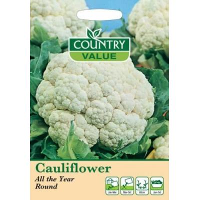 Fothergills Country Value Price Band A All The Year Round Cauliflower Vegetable Seeds Multicolour Pack of 175-Seeds 13511