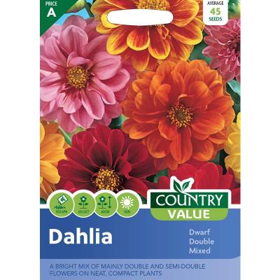 Fothergills Country Value Price Band A Dwarf Double Mixed Dahlia Flower Seeds Multicolour Pack of 45-Seeds 13120
