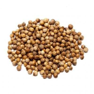 Fothergills Country Value Price Band A Coriander Vegetable Seeds Green Pack of 100-Seeds 10462
