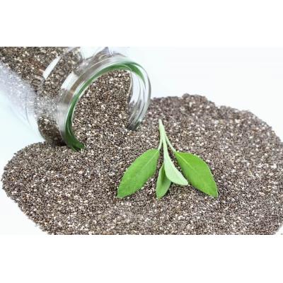 Fothergills Country Value Price Band A Sage Herbs Seeds Green Pack of 50-Seeds 21270