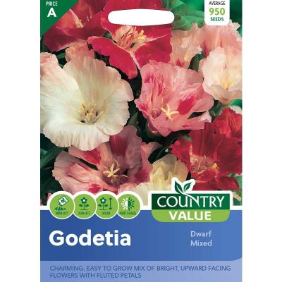 Country Value Price Band A Easy To Grow Dwarf Mixed Godetia Flower Seeds Assorted Colours Grow up to 30cm Pack of 950