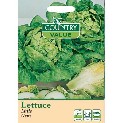 Country Value Price Band A Little Gem Lettuce Vegetable Seeds Green Pack of 1100