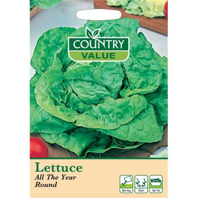 Country Value Price Band A Butterhead Type All The Year Round  Lettuce Vegetable Seeds Green Pack of 1100