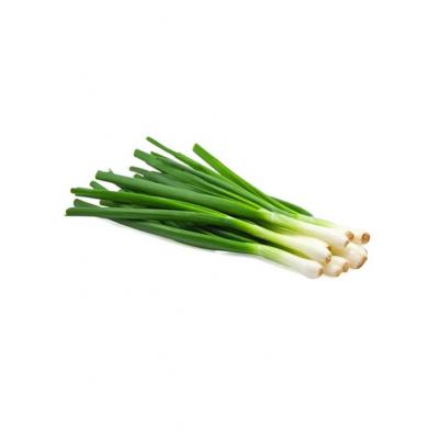 Country Value Price Band A Quick Growing Mild Flavour Spring White Lisbon Onion Vegetable Seeds Green Pack of 650