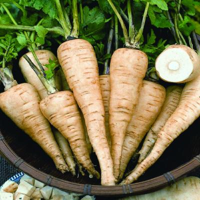 Country Value Price Band A  Hollow Crown Parsnip Vegetable Seeds Creamy White Pack of 400