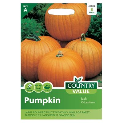Country Value Price Band A  Jack O Lantern Pumpkin Vegetable Seeds Bright Orange Pack of 8