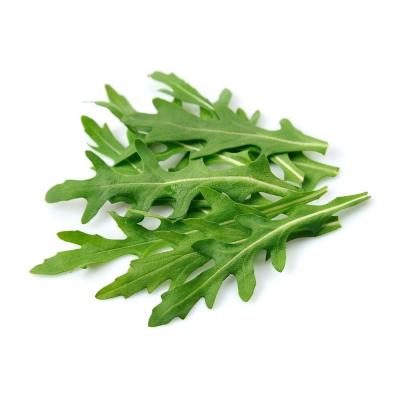 Country Value Price Band A Peppery Flavour Rocket Salad Leaves Vegetable Seeds Green Pack of 750