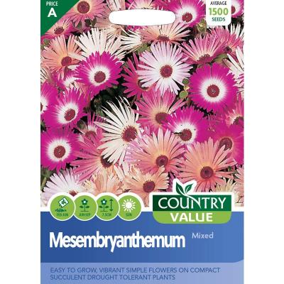 Country Value Price Band A Easy to Grow Mesembryanthemum Mixed Flower Seeds Assorted Pack of 1500