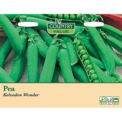 Country Value Price Band B Kelvedon Wonder Pea Vegetable Seeds Green Pack of 200 