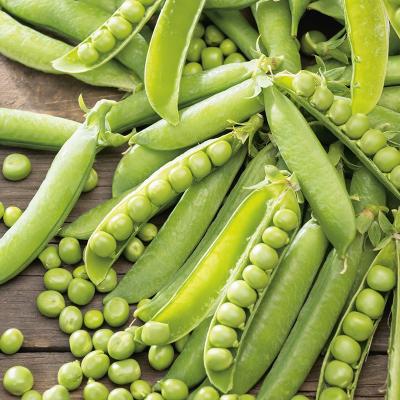 Country Value Price Band B Kelvedon Wonder Pea Vegetable Seeds Green Pack of 200