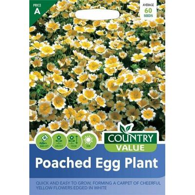 Country Value Price Band A Quick and Easy to Grow Poached Egg Plant Flower Seeds Yellow and White Pack of 60
