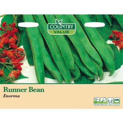 Country Value Price Band B Enorma Runner Bean Vegetable Seeds Green Grow Up to 50cm Pack of 25