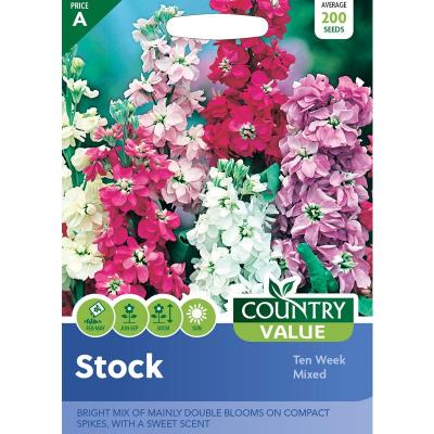 Country Value Price Band A Ten Week Mixed Double Blooms Stock Flower Seed Assorted Colors Grow up to 30cm Pack of 200