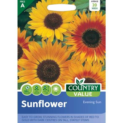 Country Value Price Band A Easy to Grow Evening Sun Sunflower Seeds Multicolour Grow up to 1.8Mtr Pack of 20