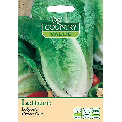 Country Value Price Band A Lettuce Lobjoits Cos Vegetable Seeds Green Pack of 800-Seeds