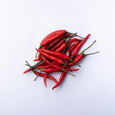 Country Value Price Band A Hot De Cayenne Pepper Seeds Red Pack of 40-Seeds