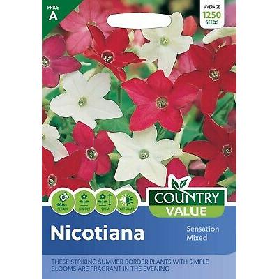 Country Value Price Band A Sensation Mixed Nicotiana Flower Seeds Assorted Colours Growth up to 90cm Pack of 1250-Seeds