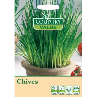 Country Value Price Band A Fresh Mild Onion Flavour Chives Vegetable Seeds Green Pack of 370-Seeds